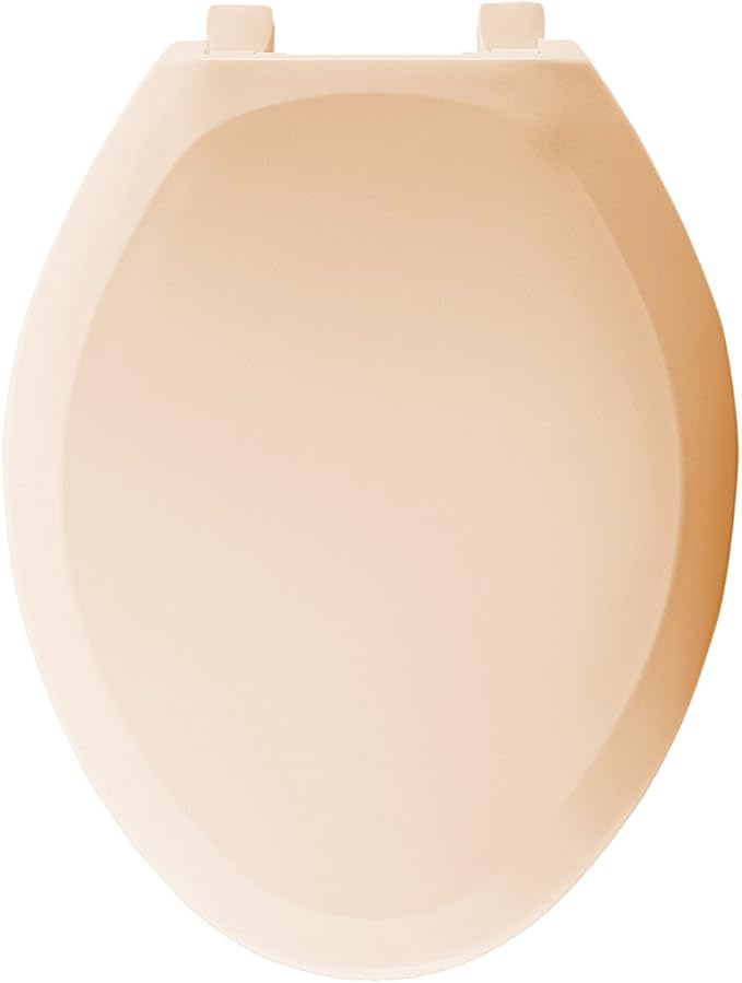 Bemis 1200TC643 Plastic Elongated Toilet Seat, Desert Bloom