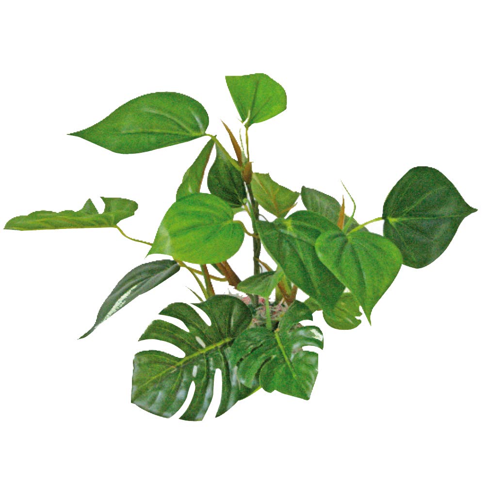 WAVE Plant Replica Anubias, 20 cm
