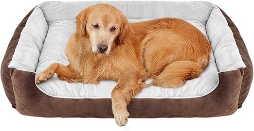 quick feed automatic horse feeder