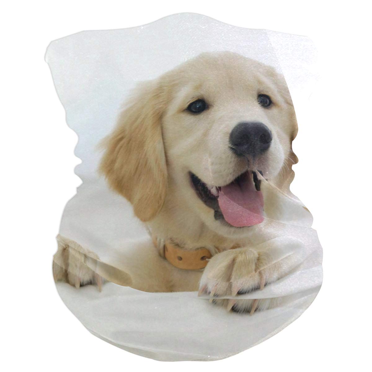 Most Lovely Golden Retriever Puppy Bavaclava Face Mask for Women Bandana Neck Gaiter Half Face Masks Cold Weather Men kids