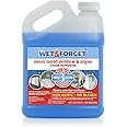 Wet & Forget Moss, Mold, Mildew, & Algae Stain Remover Multi-Surface Outdoor Cleaner Concentrate, Original, 64 Fluid Ounces