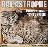 Cat-Astrophe 2019 Wall Calendar Cat-Astrophe 2019 Wall Calendar