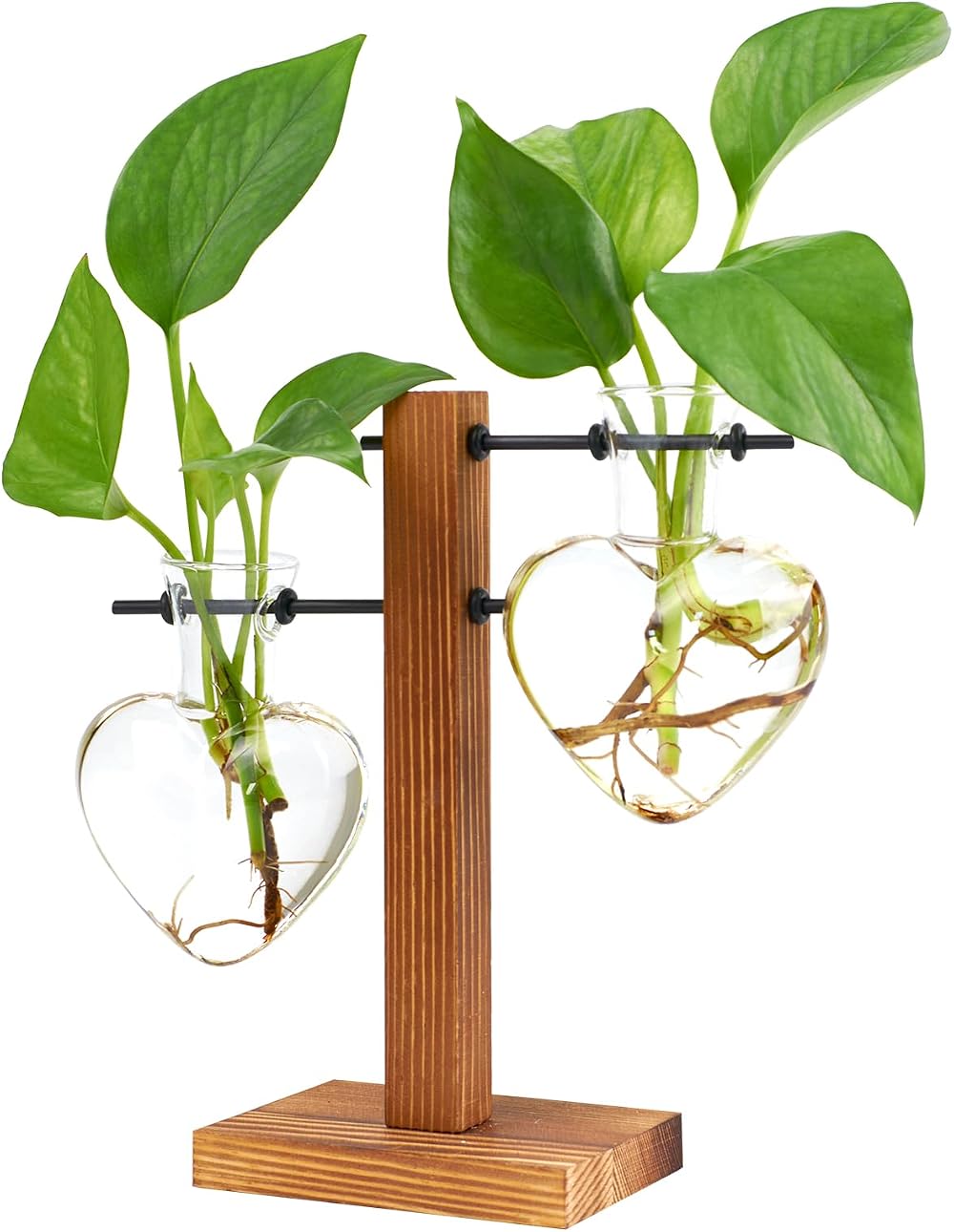 XXXFLOWER Plant Pots Wooden Stand Glass Vase Terrarium Propagation Station