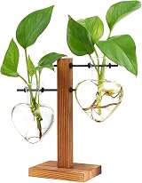 XXXFLOWER Plant Pots Wooden Stand Glass Vase Terrarium Propagation Station
