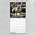 2020 French Bulldogs Wall Calendar