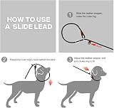 Fida Slip Lead for Dogs 1.8m One-Size-Fits-All Reflective Training Leash view 6