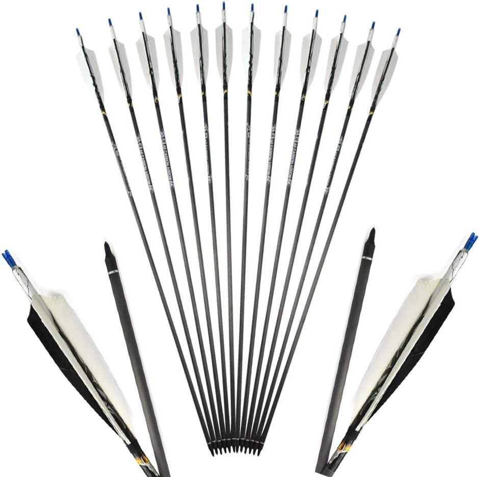 AMEYXGS 6pcs Pure Carbon Arrows Spine 500 Practice Hunting Arrows Screw-in Tips with Real Feather