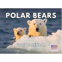 Polar Bear Calendar 2025 Monthly Wall Calender 12 Month : Amazon