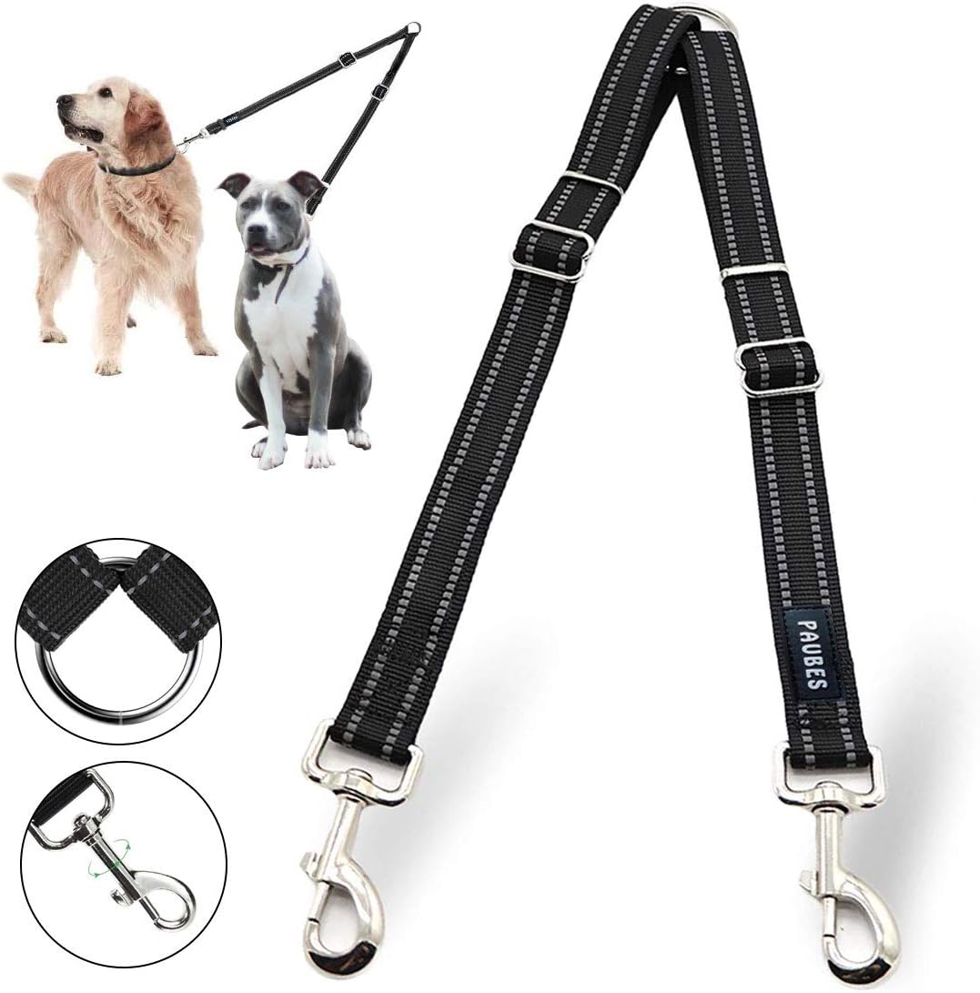 dog walking training leash