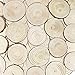CEWOR Natural Wood Slices 20pcs 3.5-4.0 Inches Craft Christmas Ornaments Round Circles Unfinished Tree Bark Log Discs for DIY Arts Rustic Wedding Decoration