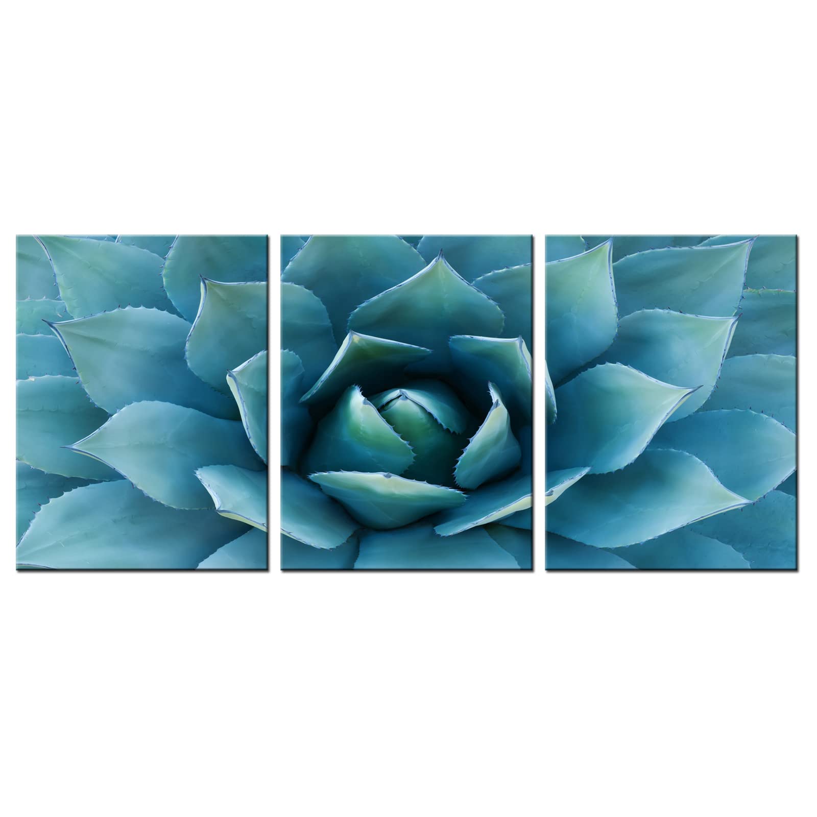 Photo 1 of Biuteawal- Modern Canvas Painting Wall Art Blue Agave Picture Plant Painting Wall Decor Turquoise Teal Art Print Gallery Wrap Ready to Hang Modern Bedroom Decorations