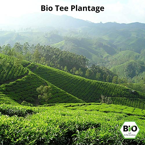 MY SUPERTEA Grüner Tee - Bio Sencha Grüntee - Lose Blätter – Bild 7