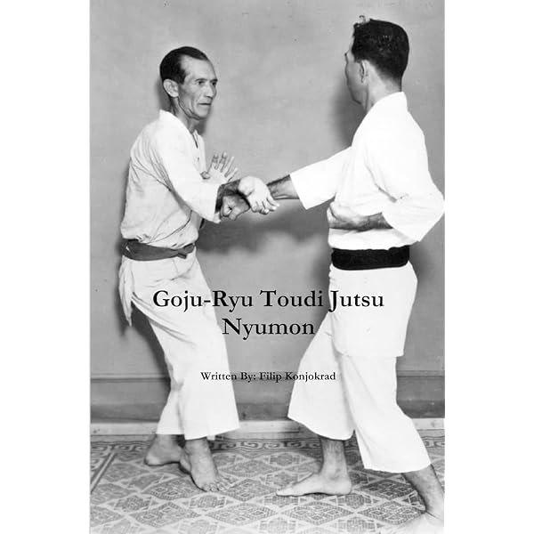 Ceinture Satin Wado Ryu Karaté – Personnalisable, Wacoku, Neuve