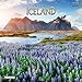 Amazing Iceland 2019 (MEDIUM DECOR) by