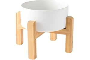 Welloyed 6'' Ceramic Raised Dog Bowl - 30Oz Dog Food & Water Bowl with Elevated Non-Slip Bamboo Stand, Dishwasher & Microwave Safe, Anti Vomiting Heavy Duty Pet Bowl for Small and Medium Dogs, White