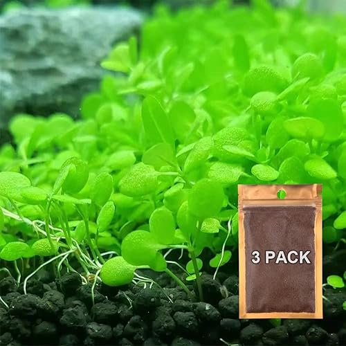 Zafina 3 Pack Aquarium Plant Seeds, Easy to Grow Aquatic Plant Seeds, Fast Growing  Aquarium Carpet Seeds - Creates a Natural Ecosystem for Your Fish in Saudi  Arabia | Whizz 17409478011