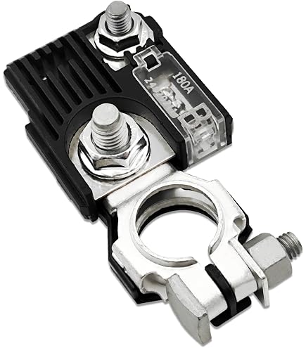 Amazon.com: HYUNDAI Genuine 18790-01319 Fuse : Automotive