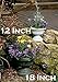 Bloem GU18-00 Grecian Urn Planter, 18