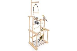 CHUIENDI Bird Playground 4 Layer, Parrot Perch Stand Bird Play Stand for Parakeet Conure Cockatiel Lovebird Budgie, Parrot Playground with Feeder Cups, Ladder, Chain Toy, Swing and Detachable Tray