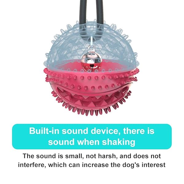 BETTER BELLY HIGHLY DIGESTIBLE RAWHIDE DENTAL CHEWS, TREAT YOUR DOG TO A CHEW WITH NO ARTIFICIAL COLORS OR FLAVORS 4 COUNT (PACK OF 1)