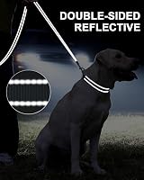 Taglory Dog Leash for Medium Large Dogs Reflective Padded Handle 2.5 cm x 180 view 5