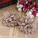 NUOLUX Hessian Burlap Daisy Flowers for Christmas Wedding Decoration 5pcs
