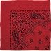 Red & Black Trainmen Paisley Bandana (22