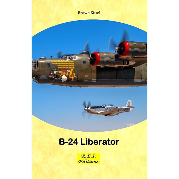 B-29 Superfortress In Action (Aircraft No. 227): Doyle, David