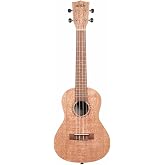 Kala KA-20 Burled Meranti Satin Concert Ukulele (KA-20C) | Concert (KA-20C)