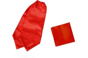 Dan Smith Solid Party Day Cravat Feel Silk Cravat Tie Ascot Assorted Pack Plain