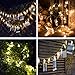 Zedoli Waterproof 20 LED Photo Clips String Lights, Battery Powered,String Lights for Indoor/Outdoor Decorate,String Lights with Photo Clips for Hanging Pictures,Cards and Artwork(10 Ft,Warm White)