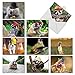 The Best Card Company - 10 Adorable Note Cards Blank (4 x 5.12 Inch) - Wildlife and Animal Cards, Assorted Boxed Kids Set - Capped Creatures M6470OCB