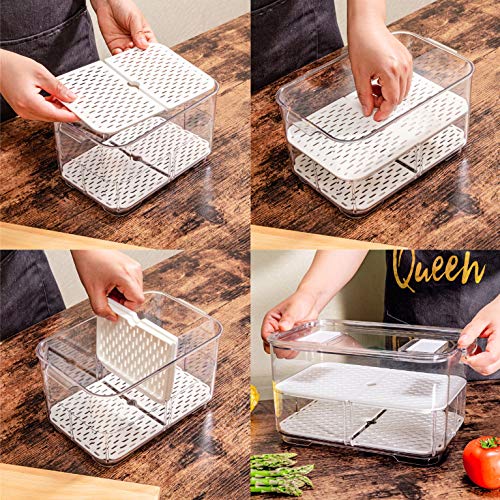 Benzoyl Lettuce Keeper Refrigerator Organizer Bins Fridge Produce Saver