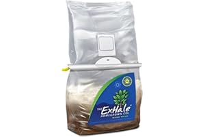 Exhale Homegrown CO2 Original - CO2 Bag for Indoor Grow Rooms & Tents - Great for Indoor Greenhouses - CO2 for Grow Tents - 4