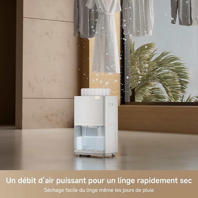 DD20 Déshumidificateur, déshumidification haute efficacité 20 L/jour