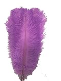 MELADY® Pack of 50pcs Natural Ostrich Feathers