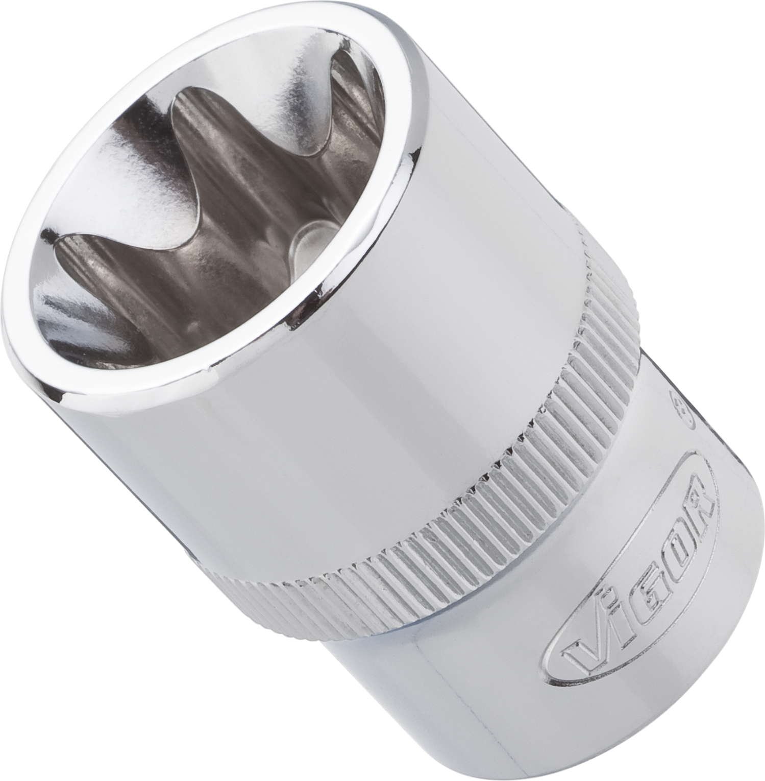 Vigor V2730 Socket For Outside Torx, E10 mm, L 38 mm, 1/2"