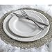 Pfaltzgraff Filigree Dinner Plate (10-1/2-Inch, Set of 4), White