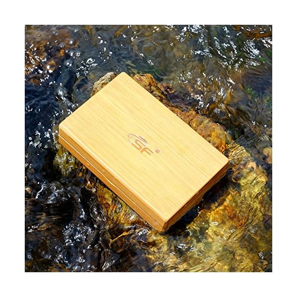 SF-Anger-Classic-Top-Quality-Classic-Fly-Fishing-Flies-Box