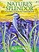Nature's Splendor Stained Glass Pattern Book by M. S. Hanson
