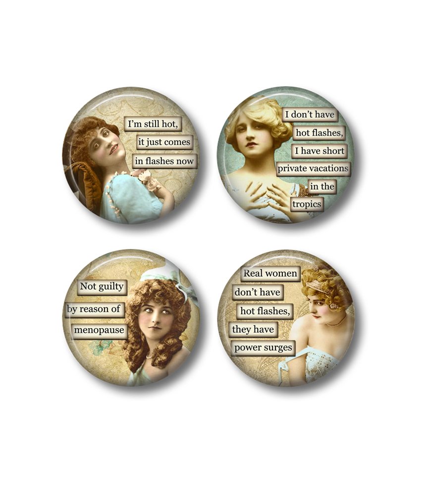 Menopause Humor Sarcastic Fridge Sarcastic Women Funny Gift