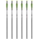 TenPoint Pro Elite 400 Carbon Crossbow Arrows - 20", Pack of 6 - with Alpha-Nock HP &amp; HP Aluminum Bushing