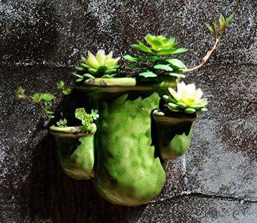 StarBox Porcelain Wall Hanging Planter Flower Pot (Green)