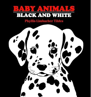 black and white board book