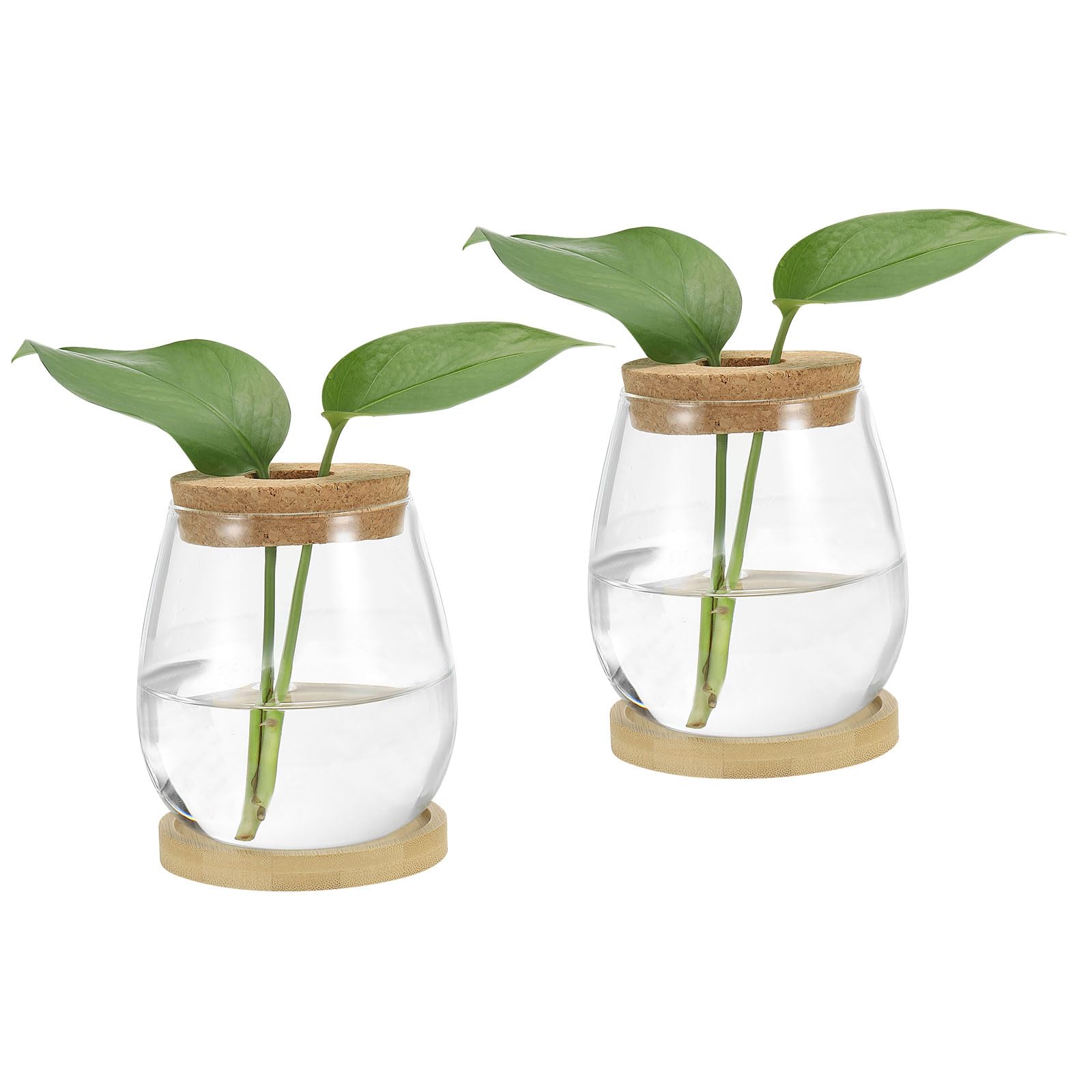 PATIKIL Plant Propagation Station Glass Vases, 2 Pcs Desktop Teardrop Planter Terrarium Vase with Wooden Tray & Lid for Hydroponic Office Home Decor Plants Indoor, White
