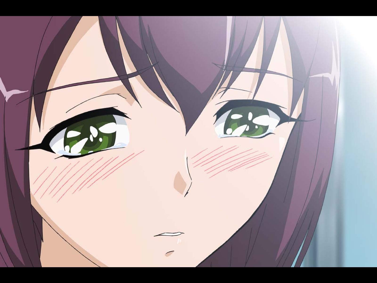 Amazon Co Jp 陰からマモル を観る Prime Video