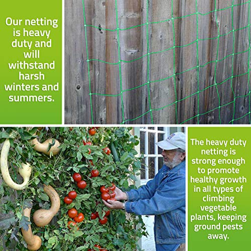 DeBird Trellis Netting for Climbing Garden Plants, Easy to Install
