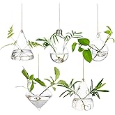 Glasseam Hanging Planters Glass Terrarium: 5Pcs Modern Plant Propagation Stations Hydroponic Wall Vases for Air Plants Flowers Indoor Window Home Decor