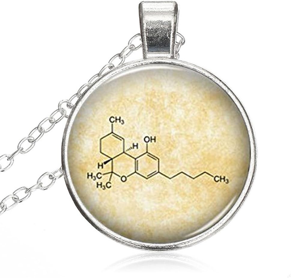 Silver Necklace Chemical Thc Formula Special Design Glass Cabochon Dome Jewelry by Pretty Lee