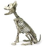 Plastic Halloween Skeleton, 7.9 inch High Scary